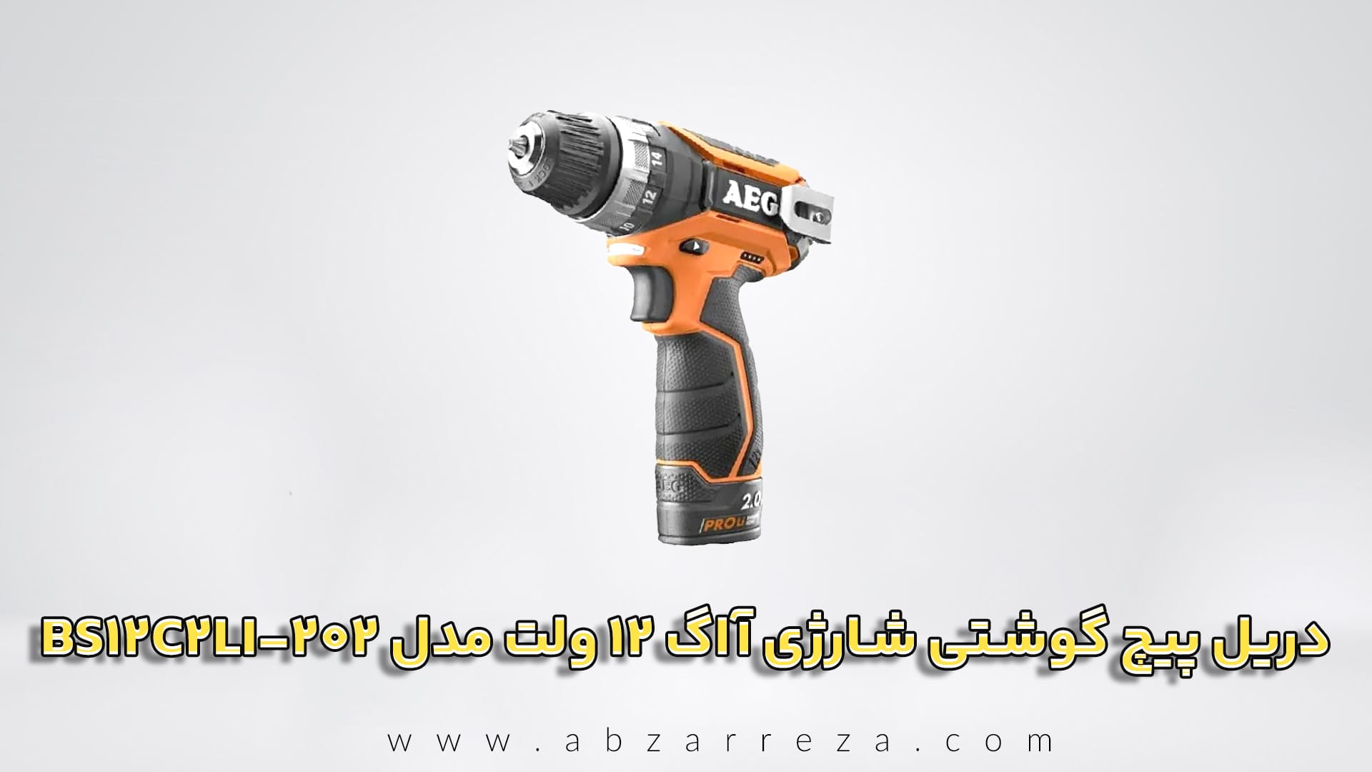 BS12C2LI-202.jpg